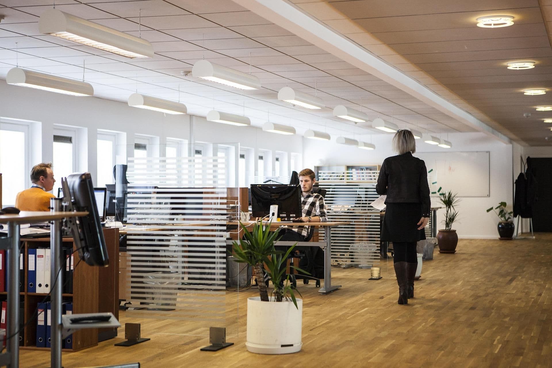 banking and finance translation company