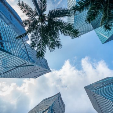 Language & Cultural Challenges for Businesses Entering the Omani Market (and How to Overcome Them)