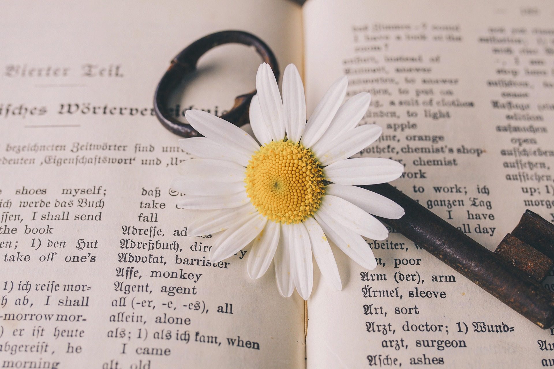 Amharic Translation services