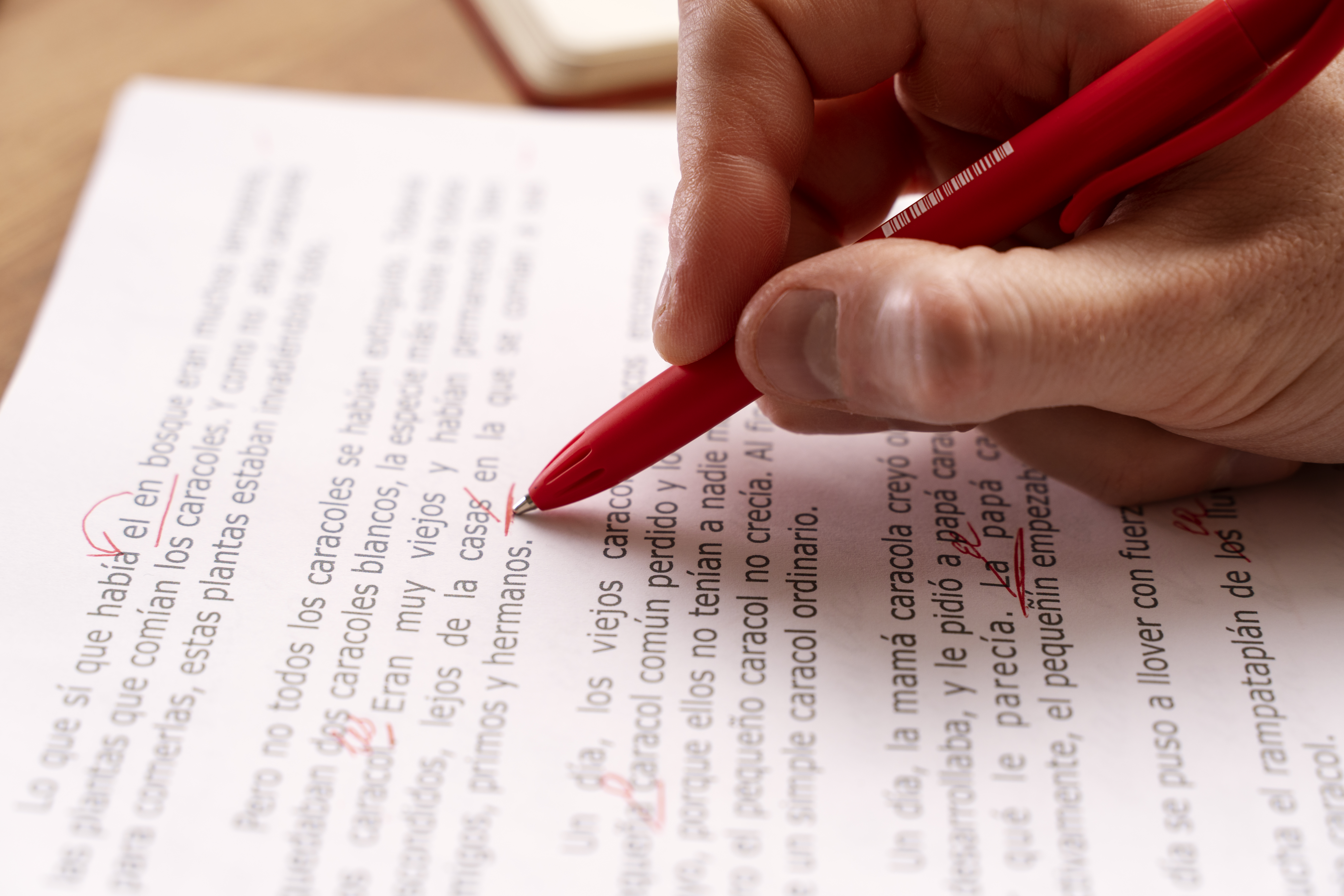 Spanish translation services