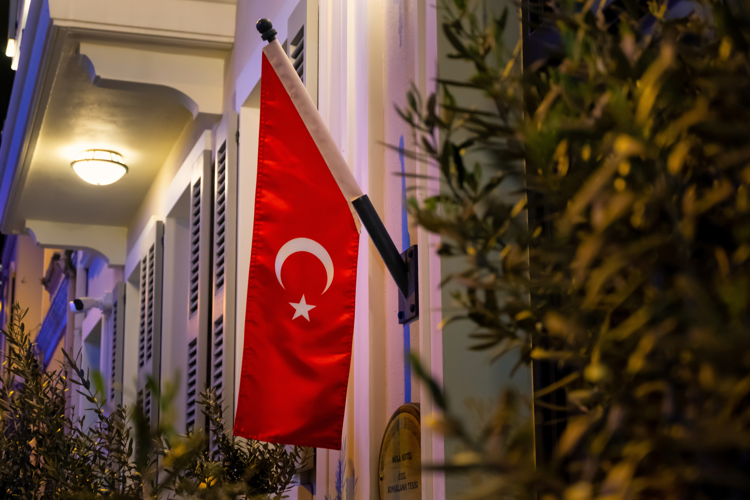 flag-turkey